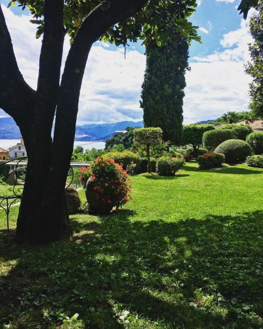 Bed and Breakfast Il Motto Di Tommy Castelveccana Exterior foto