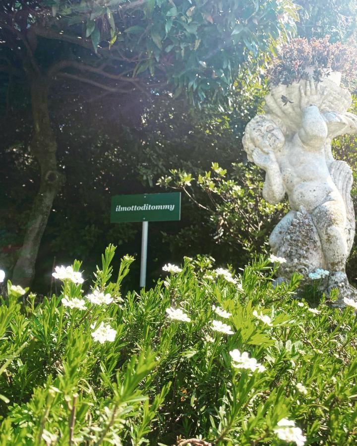 Bed and Breakfast Il Motto Di Tommy Castelveccana Exterior foto